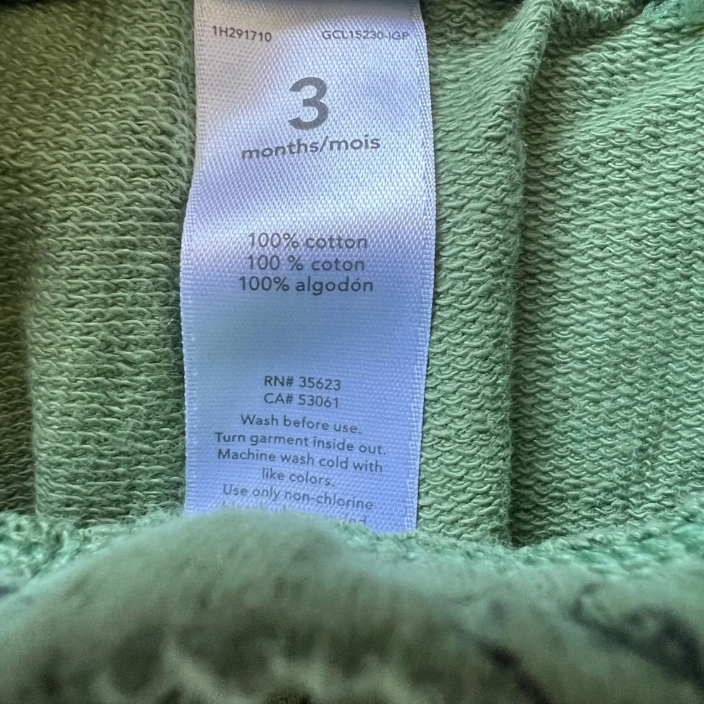 Carter’s Dinosaur Hoodie and Jogger Set | 3M